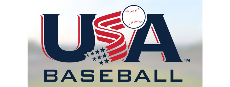 USA Baseball Bat Information